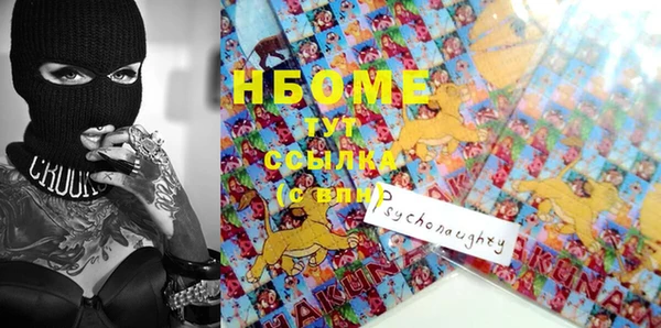 apvp Вяземский
