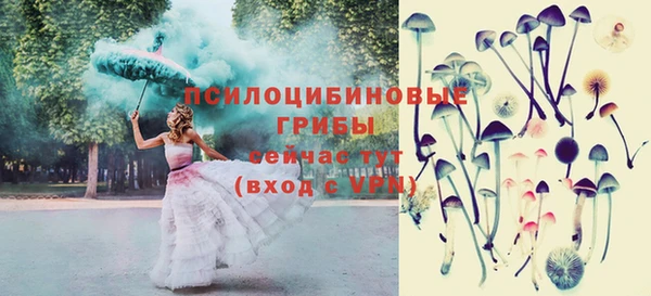 apvp Вяземский