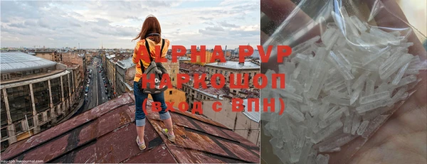 apvp Вяземский