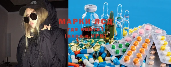 apvp Вяземский