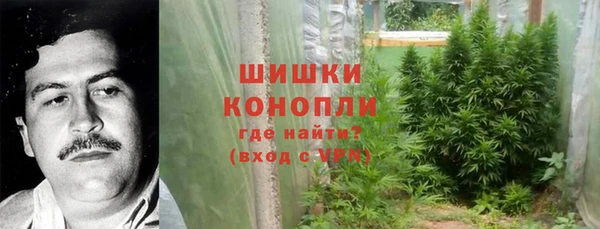 apvp Вяземский