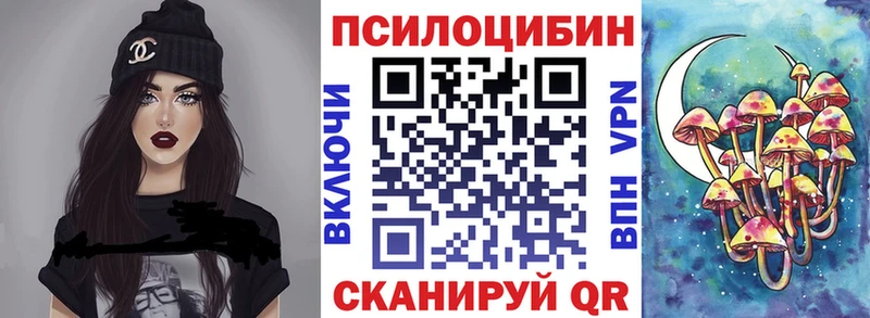 Купить закладки  Пучеж  Псилоцибиновые грибы прущие грибы 